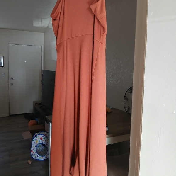 Rust Button-Down Dress - Picture 7 of 8